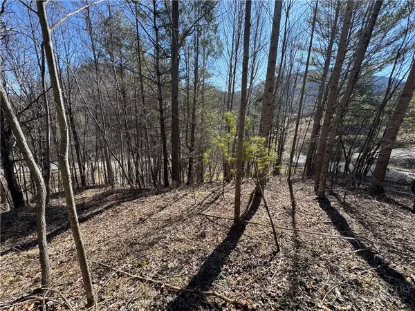 5.33 Acres Charlie King Road, Lansing, NC 28693