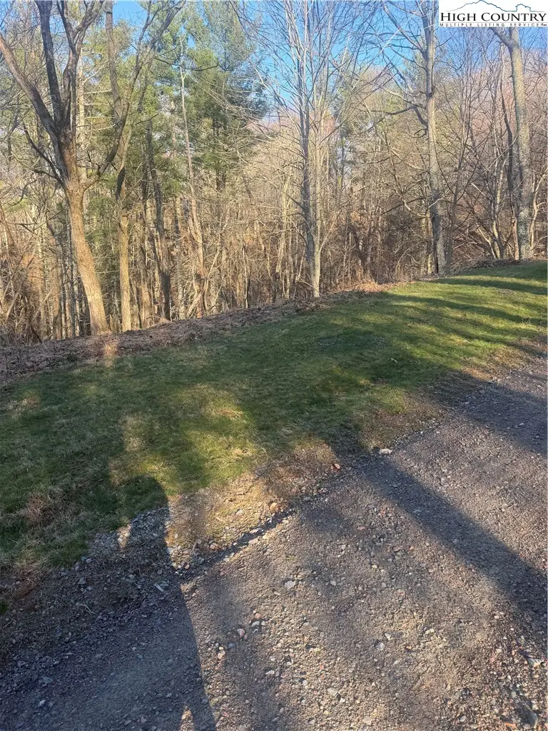 TBD Carefree Cove Road, Zionville, NC 28698 - #2