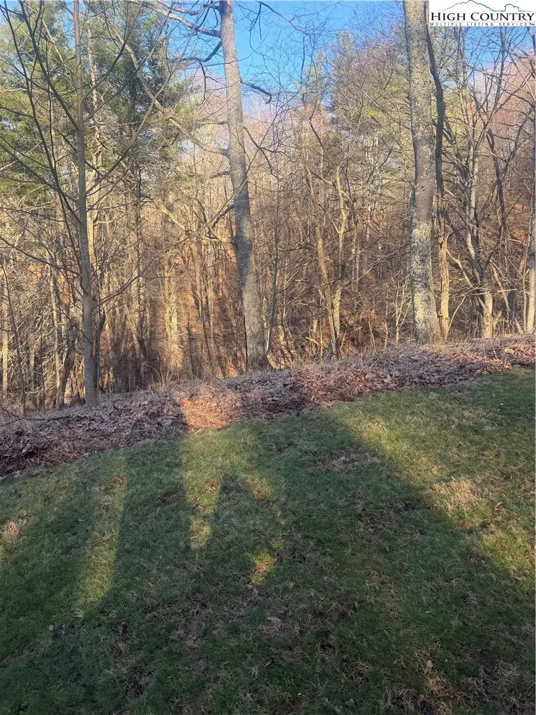 TBD Carefree Cove Road, Zionville, NC 28698 - #3