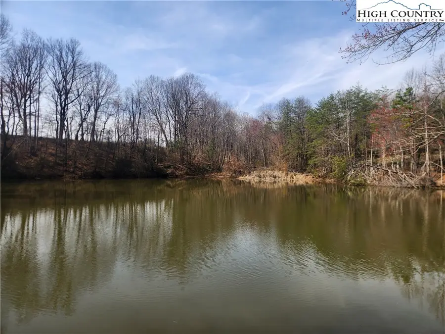 363 Center Church Road, Hiddenite, NC 28636 - #2