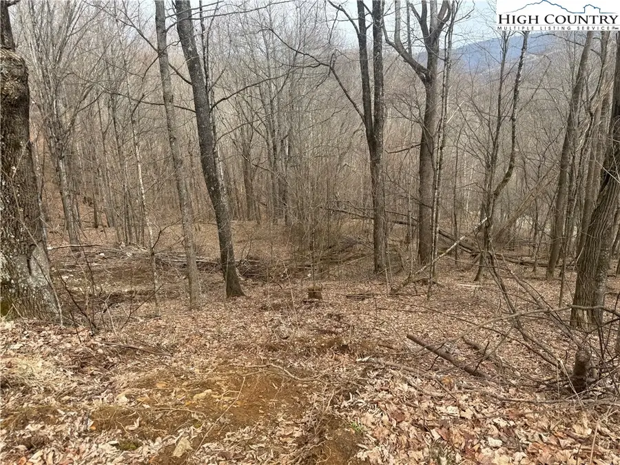 Lot 22 Jewel Weed Trail, Newland, NC 28657 - #3