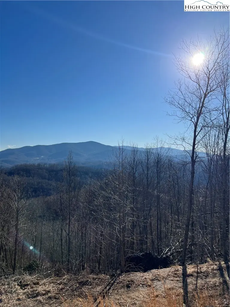 Lot #2B Falls Creek Parkway, Elk Park, NC 28622 - #1