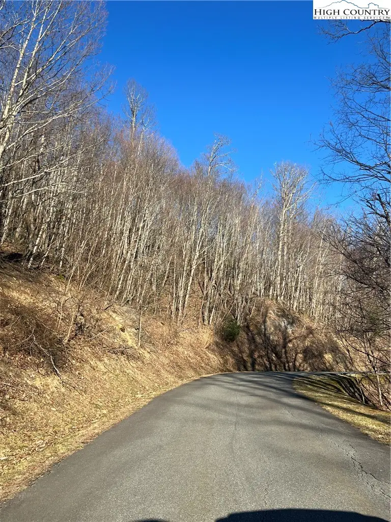 Lot #2B Falls Creek Parkway, Elk Park, NC 28622 - #2