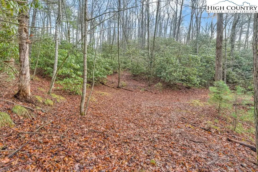 TBD Jordan V. Cook Road, Boone, NC 28607 - #2
