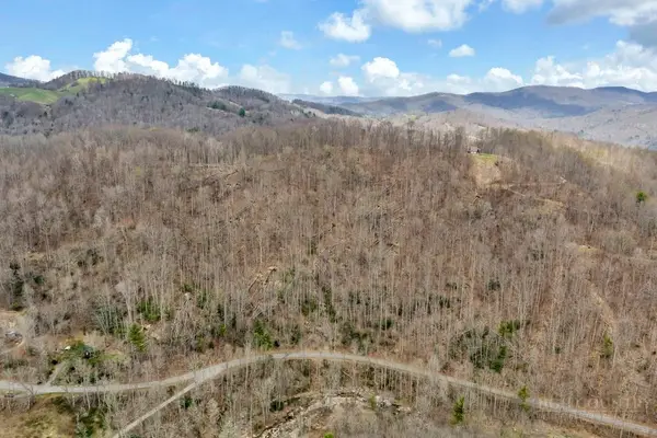 TBD Buckeye Road, Elk Park, NC 28622