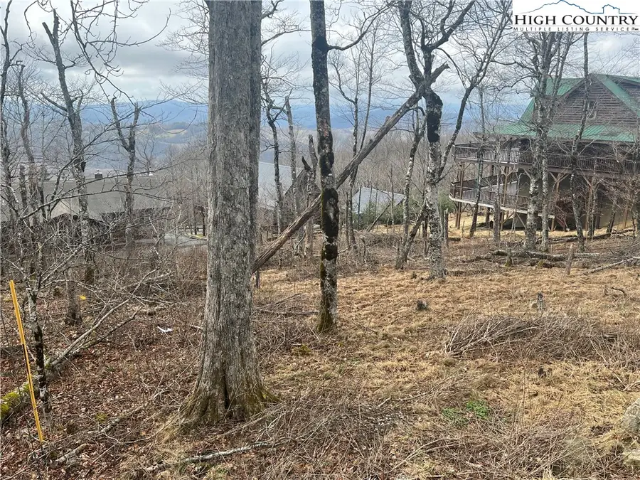 116 N Pinnacle Ridge Drive, Beech Mountain, NC 28604 - #2