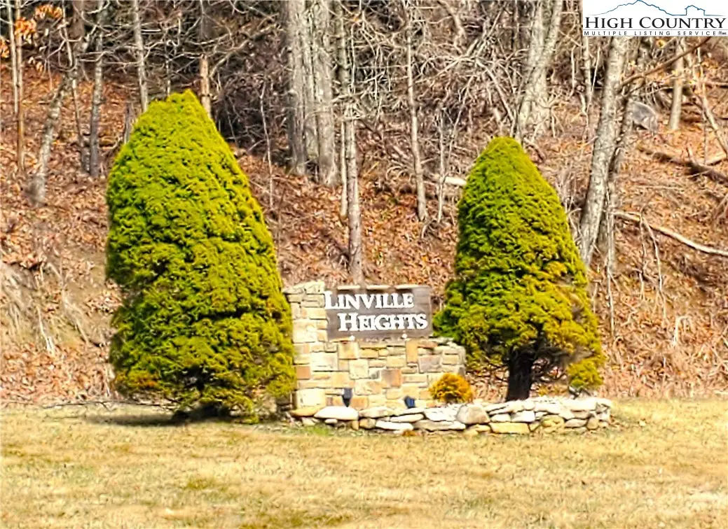 Lot 67 Linhigh Drive, Linville, NC 28646 - #1