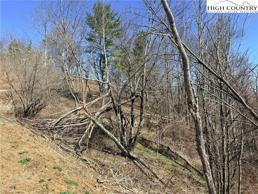 Lot 67 Linhigh Drive, Linville, NC 28646 - #2