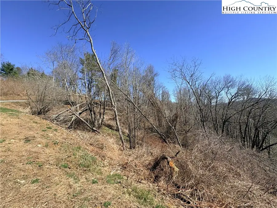 Lot 67 Linhigh Drive, Linville, NC 28646 - #3