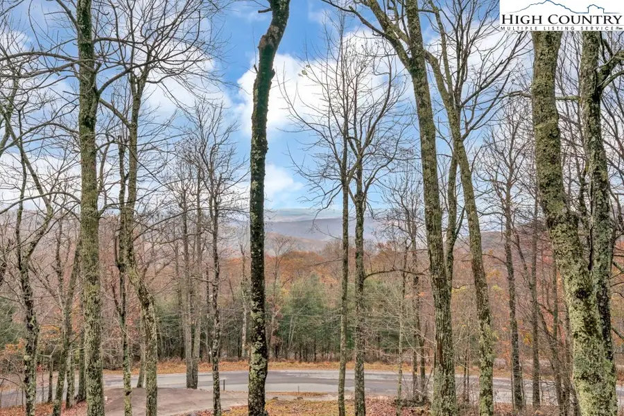 3043 Junaluska Road, Boone, NC 28607 - #3