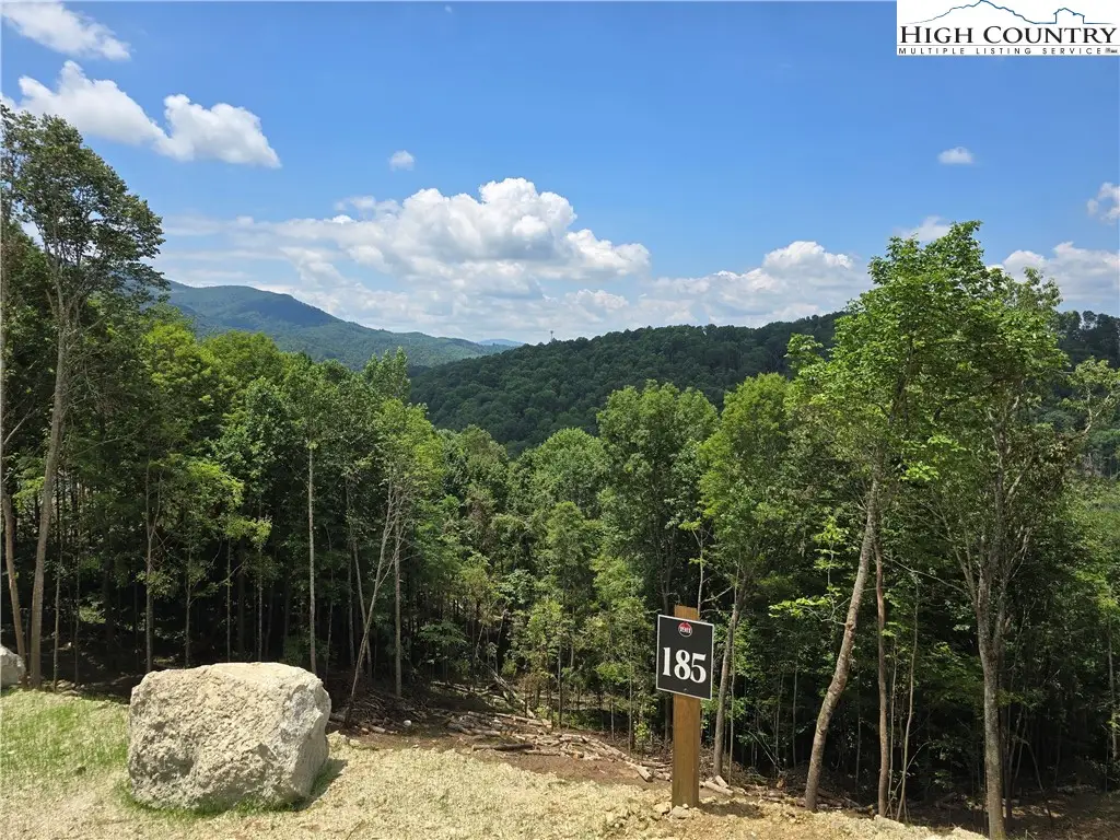 Lot 185 Raspberry Lane, Elk Park, NC 28622 - #1