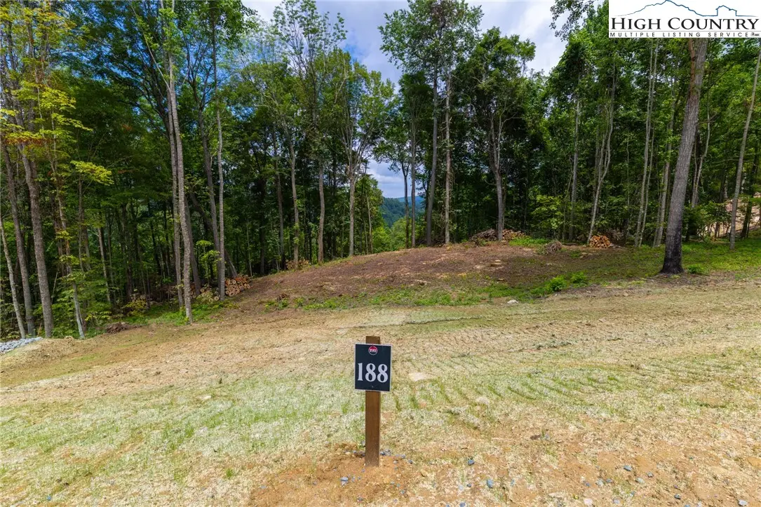 Lot 188 Raspberry Lane, Elk Park, NC 28622 - #1