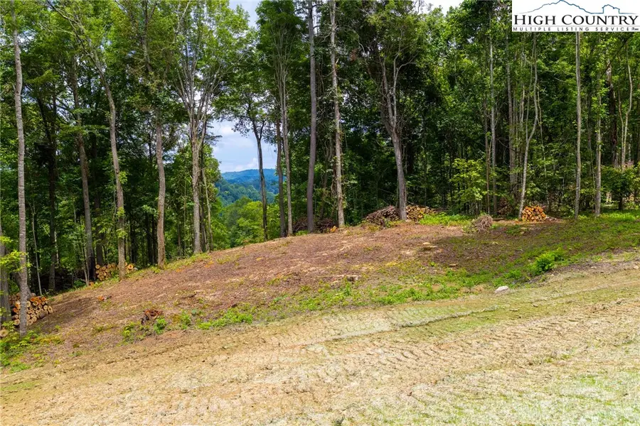 Lot 188 Raspberry Lane, Elk Park, NC 28622 - #2