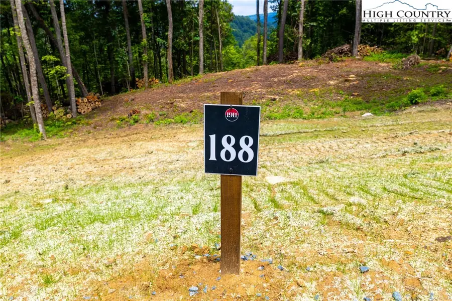Lot 188 Raspberry Lane, Elk Park, NC 28622 - #3