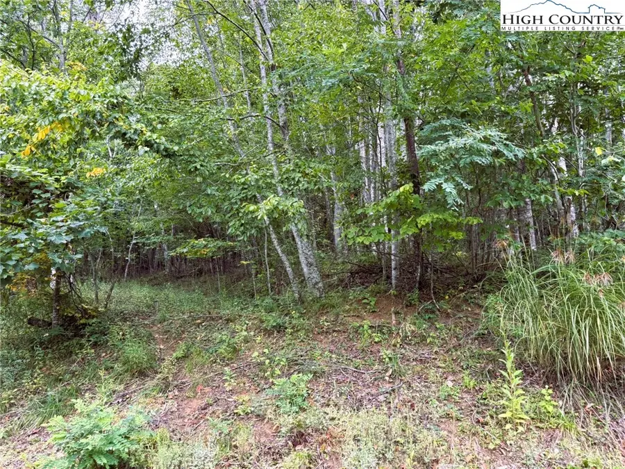 Lot #2A Falls Creek Parkway, Elk Park, NC 28622 - #3