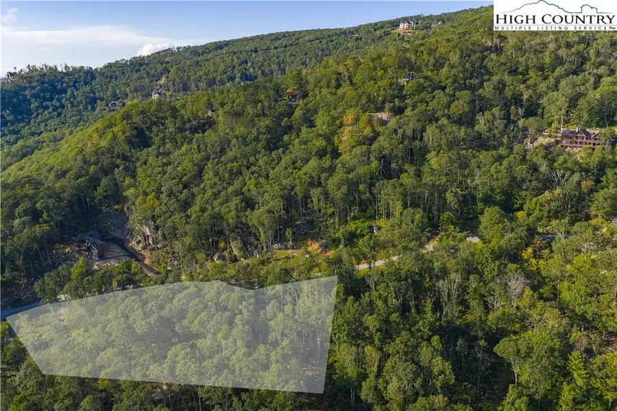 C52 Firefly Cove, Banner Elk, NC 28604 - #3