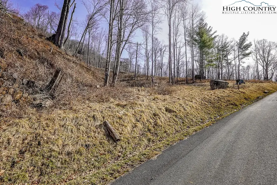 Lot 81 Black Feather Drive, Banner Elk, NC 28604 - #2