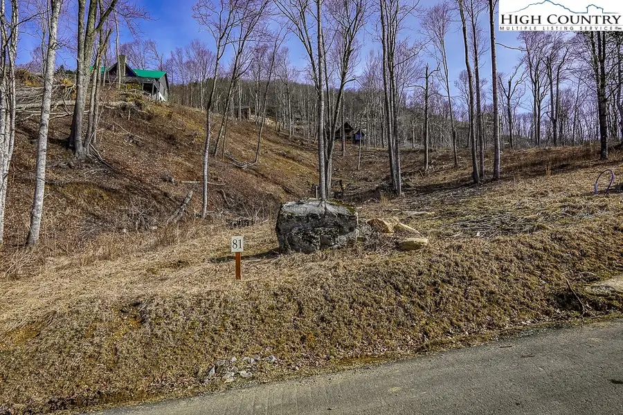 Lot 81 Black Feather Drive, Banner Elk, NC 28604 - #3