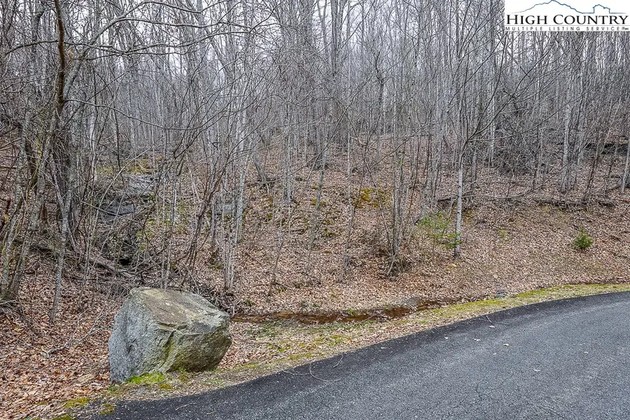 Lot 53 Pinnacle Drive, Elk Park, NC 28622 - #2