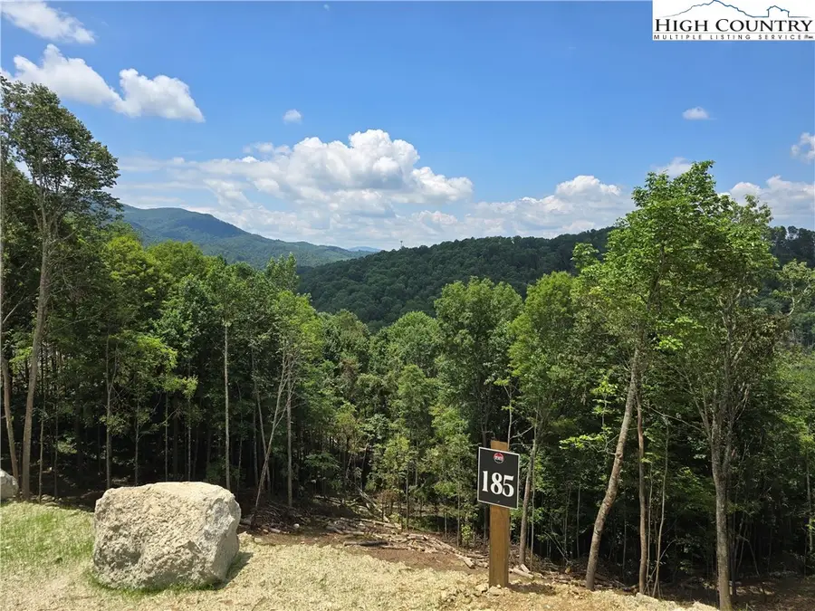 Lot 185 & 188 Raspberry Lane, Elk Park, NC 28622 - #2