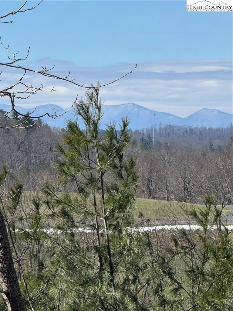 365 Trout Brook Loop, Newland, NC 28657 - #2