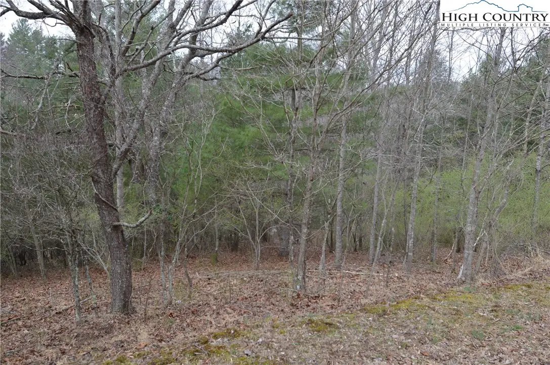 Lot #9 Isabel Way, Piney Creek, NC 28663 - #1