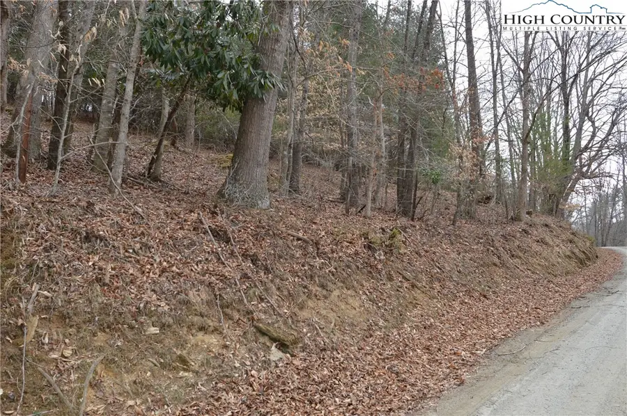 Lot #9 Isabel Way, Piney Creek, NC 28663 - #3