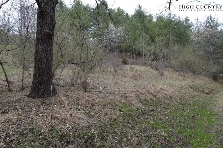 Lot #33 Georginia Way, Piney Creek, NC 28663 - #3