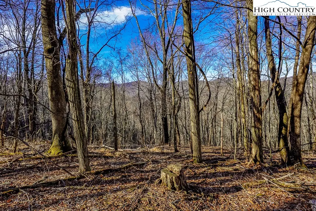 TBD Little Tree Lane, Banner Elk, NC 28604 - #1
