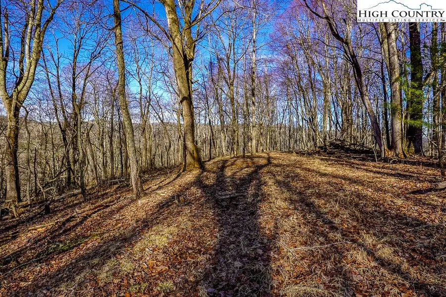 TBD Little Tree Lane, Banner Elk, NC 28604 - #2