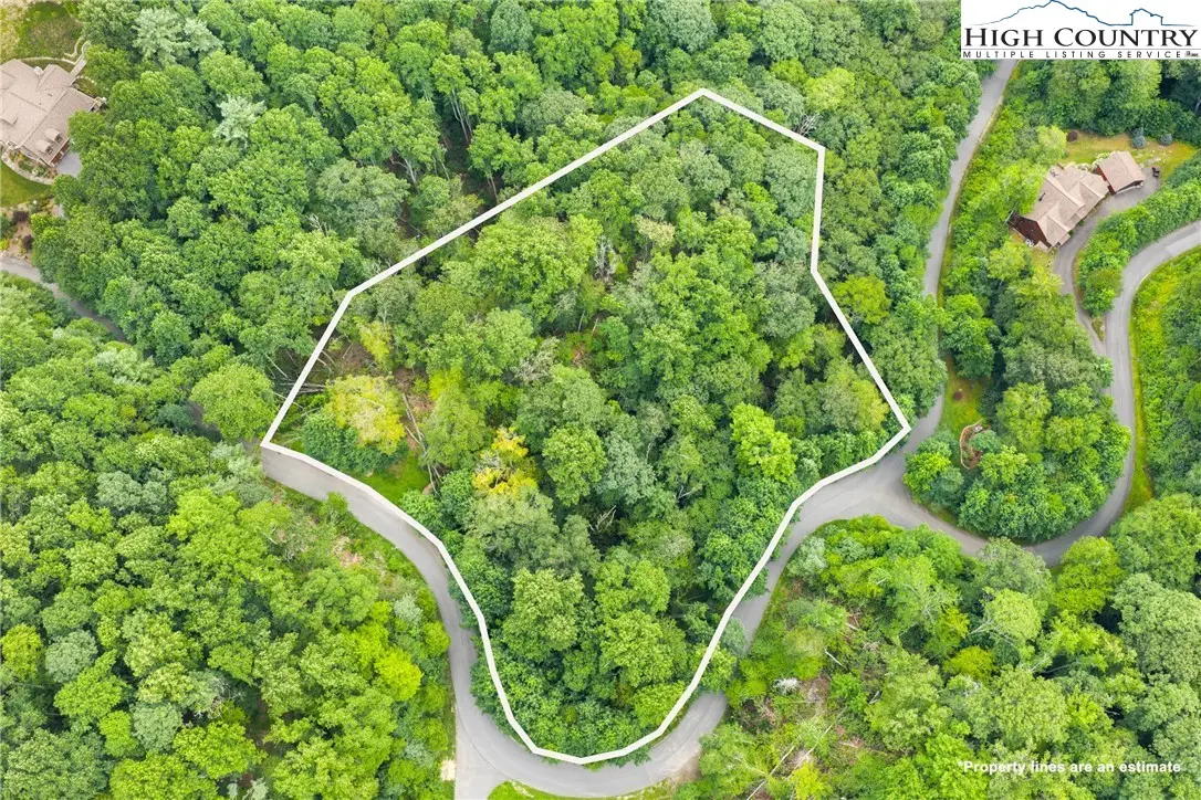 Lot 201 Twin Rivers Drive, Boone, NC 28607 - #1
