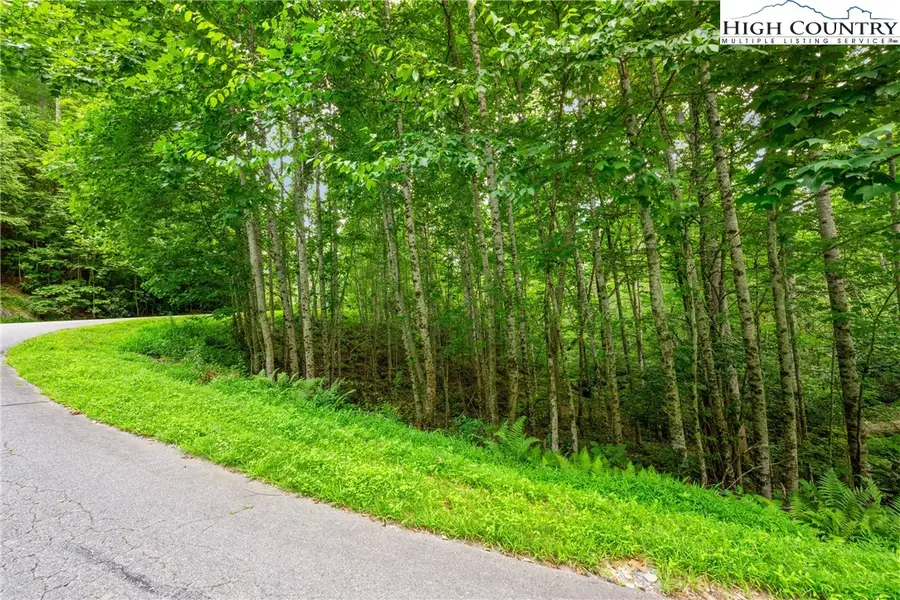 Lot 201 Twin Rivers Drive, Boone, NC 28607 - #3