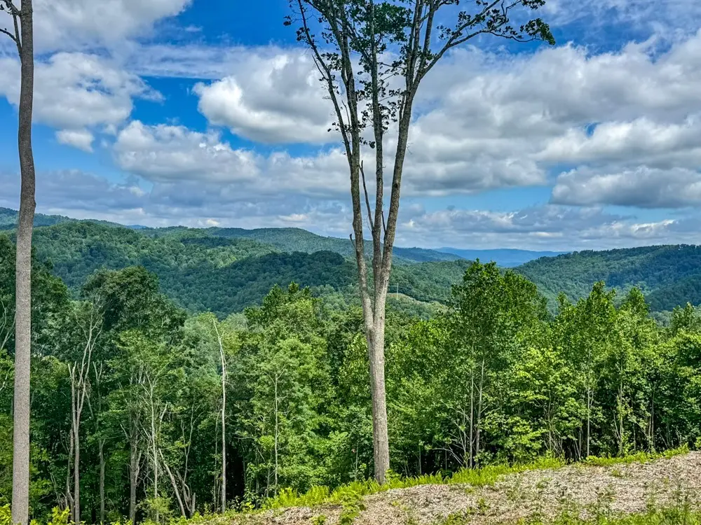 TBD Pinnacle View, Elk Park, NC 28622 - #1