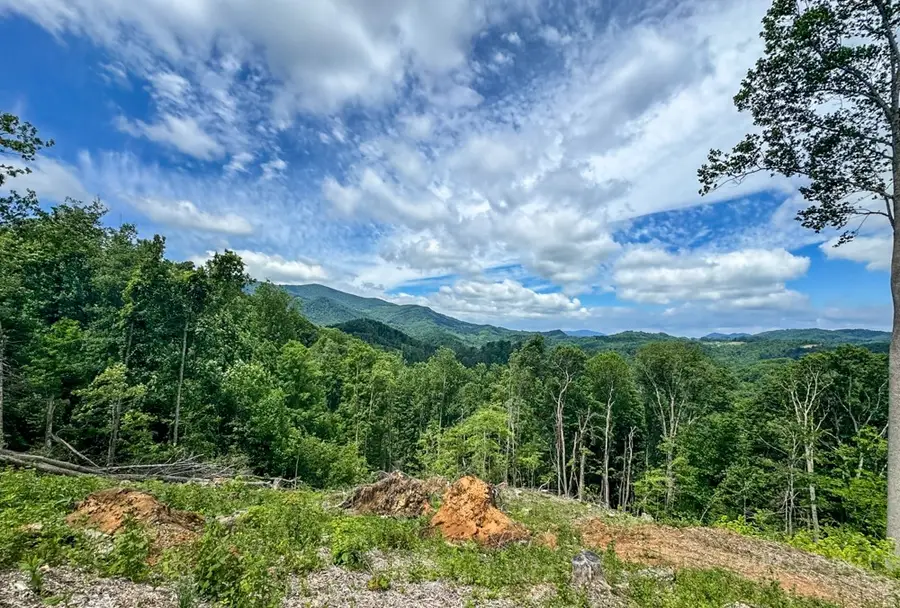 TBD Pinnacle View, Elk Park, NC 28622 - #2
