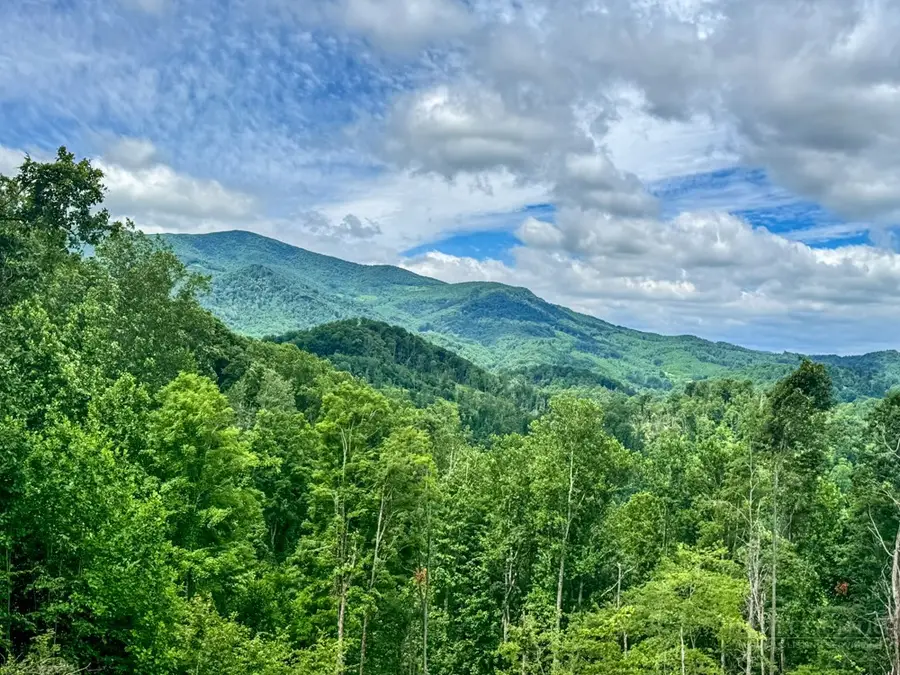 TBD Pinnacle View, Elk Park, NC 28622 - #3