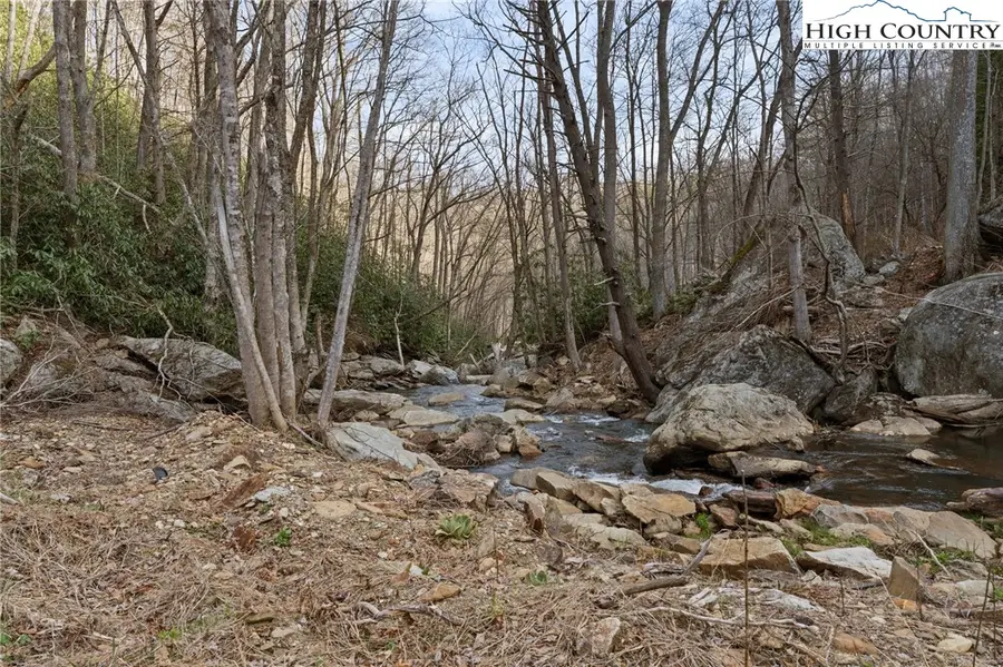 TBD Big Rock Drive, Elk Park, NC 28622 - #3