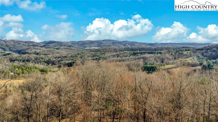 871 Lower Nettle Knob Road, West Jefferson, NC 28694 - #3