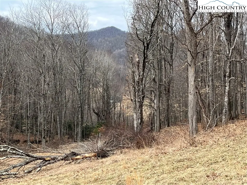 LOT 38 Poplar Forest Drive, Boone, NC 28607 - #1