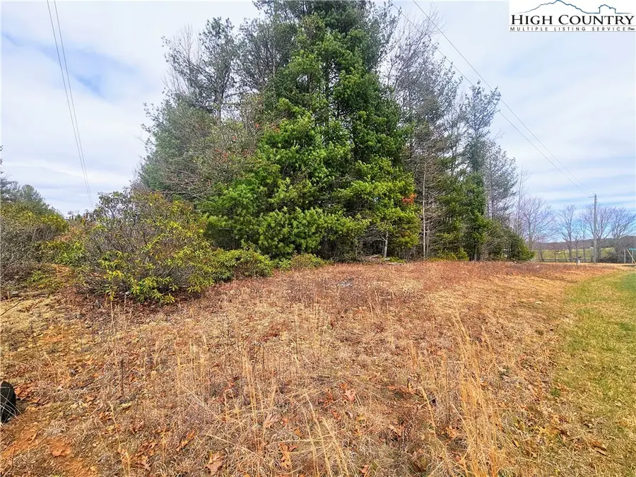 51 Peaceful Meadows, Piney Creek, NC 28663 - #2