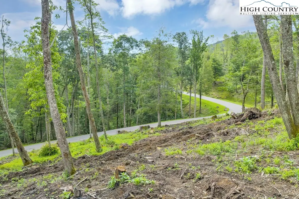 Lot 90 Eagles Nest Trail, Banner Elk, NC 28604 - #1