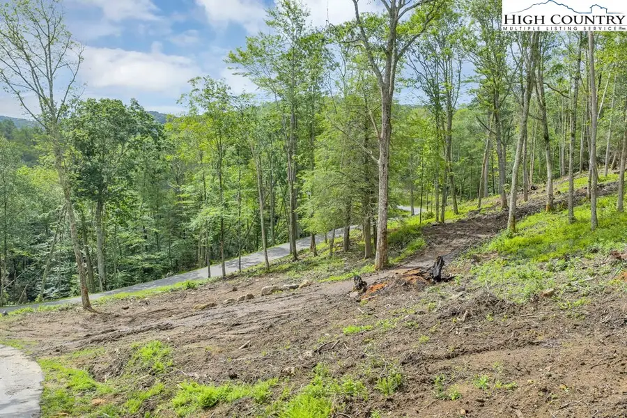 Lot 90 Eagles Nest Trail, Banner Elk, NC 28604 - #2