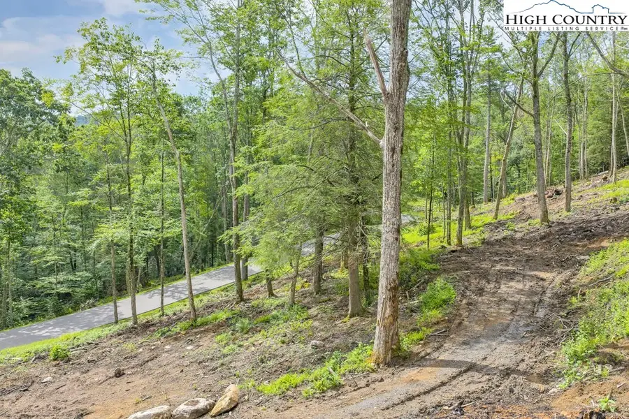 Lot 90 Eagles Nest Trail, Banner Elk, NC 28604 - #3