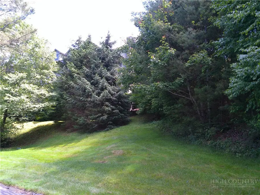 139 Trout Stream Trail #Smokies 5, Blowing Rock, NC 28605 - #2