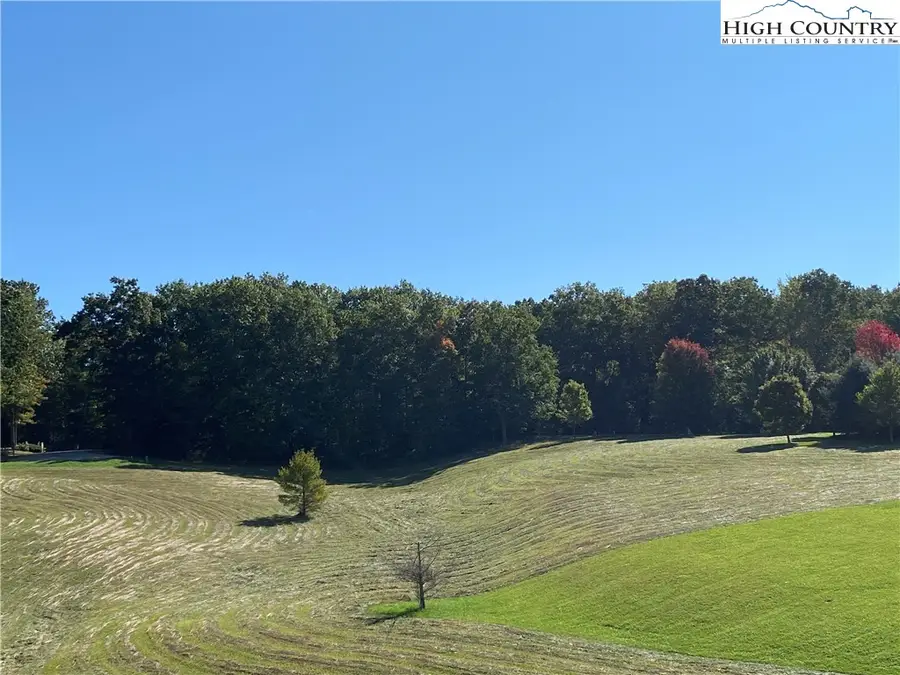 Lot 23 Bear Den Road, Sparta, NC 28675 - #2