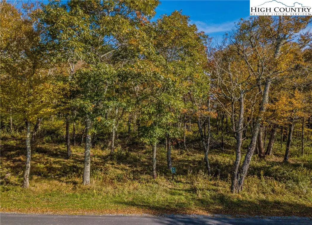 Lot 196 Green Cliffs Road, Sugar Mountain, NC 28657 - #1