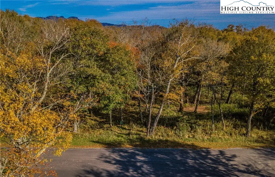 Lot 196 Green Cliffs Road, Sugar Mountain, NC 28657 - #2