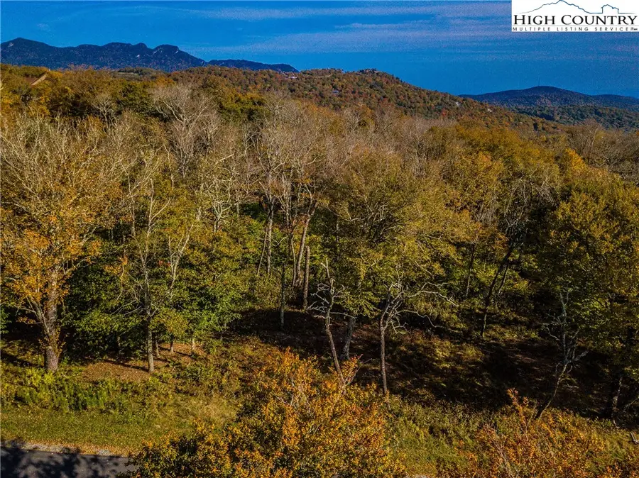 Lot 196 Green Cliffs Road, Sugar Mountain, NC 28657 - #3