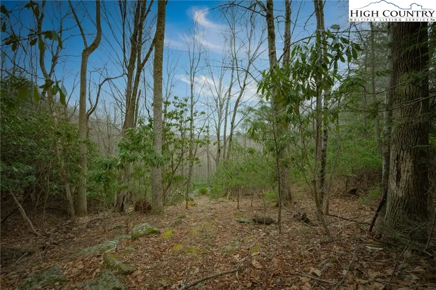 288 Poplar Drive, Beech Mountain, NC 28604 - #3