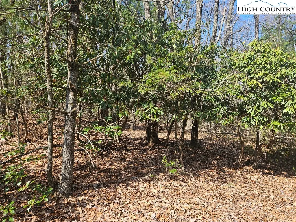 TBD Mount Retreat Road, Roaring Gap, NC 28668 - #1