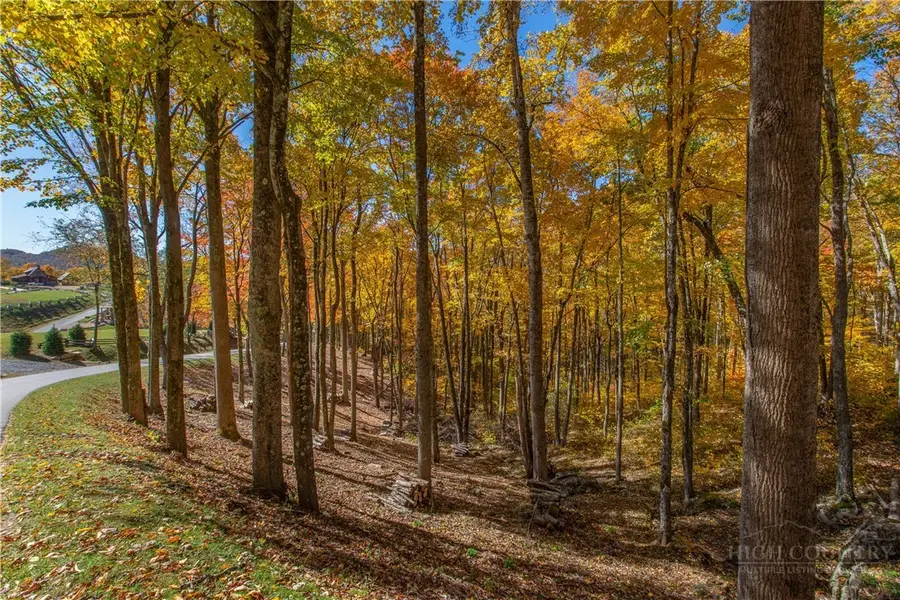 C-32 Eagles Nest Trail, Banner Elk, NC 28604 - #2